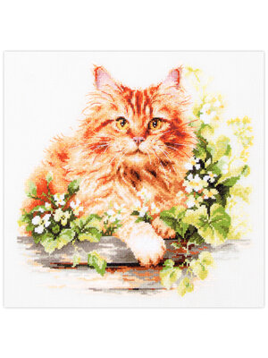 Magic Needle CI Borduurpakket The Ginger Cat - Magic Needle