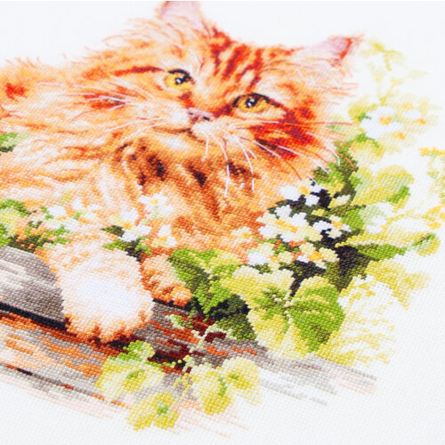 Borduurpakket The Ginger Cat - Magic Needle