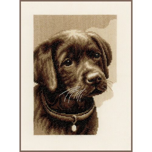 Vervaco Telpakket kit Labrador pup Vervaco Telpakket kit Labrador pup