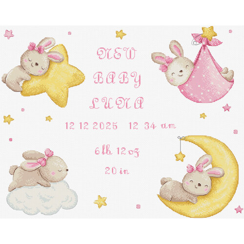 Leti Stitch Borduurpakket Baby Girl record - Leti Stitch Leti Stitch Borduurpakket Baby Girl record - Leti Stitch