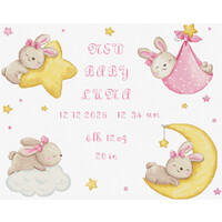 Borduurpakket Baby Girl record - Leti Stitch
