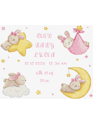 Leti Stitch Borduurpakket Baby Girl record - Leti Stitch