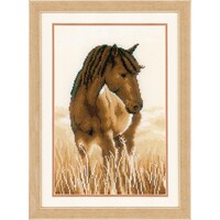 Telpakket kit Paard