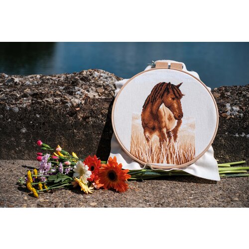 Vervaco Telpakket kit Paard