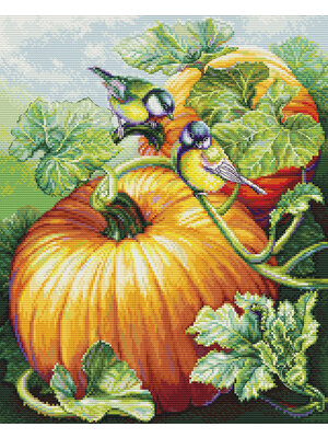 Luca-S Borduurpakket  Birdies On Pumpkin - Luca-S
