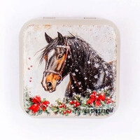 Winter Horse Metallic Box - Leti Stitch