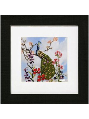 Pako Borduurpakket PAKO - Telpakket Pauw (deels voorbedrukt ) Pako Borduurpakket PAKO - Telpakket Pauw (deels voorbedrukt )