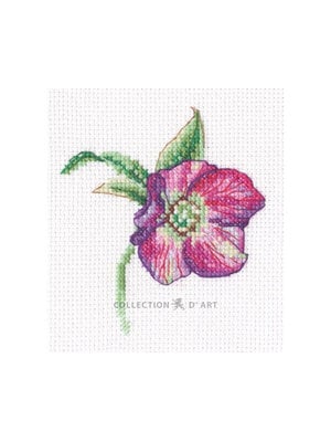 RTO Borduurpakket Hellebore - RTO