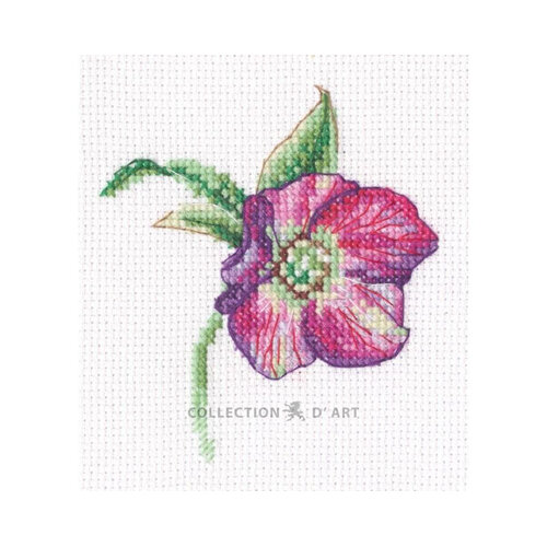 RTO Borduurpakket Hellebore - RTO