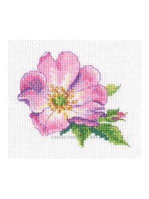 RTO Borduurpakket Wild Rose - RTO