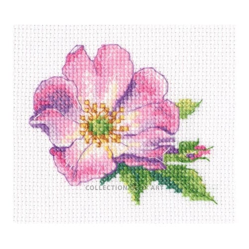 RTO Borduurpakket Wild Rose - RTO