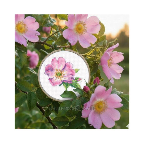 RTO Borduurpakket Wild Rose - RTO