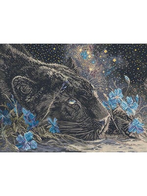 Leti Stitch Borduurpakket Starry Dreams - Leti Stitch