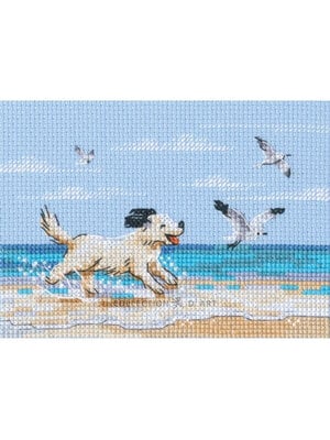 RTO Borduurpakket Dog Running on Beach - RTO RTO Borduurpakket Dog Running on Beach - RTO