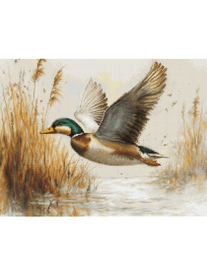 Luca-S Borduurpakket Golden Flight - Luca-S Luca-S Borduurpakket Golden Flight - Luca-S