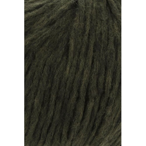 Lang Yarns Lang Yarns | Wol Wooladdicts Promise - 100 gr - 0218 | Pine