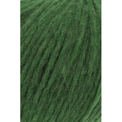 Lang Yarns Lang Yarns | Wol Wooladdicts Promise - 100 gr - 0016 | Avocado