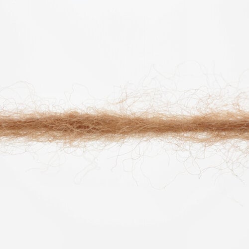 Lang Yarns Lang Yarns | Wol Wooladdicts Promise - 100 gr - 0015 | Nougat