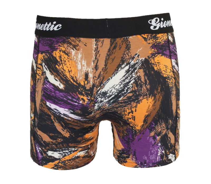 2-PACK GIONETTIC HEREN BOXERSHORTS PRINT PICASSO