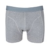 J&C Underwear J&C HEREN BOXERSHORT H152 GEMELEERD GRIJS