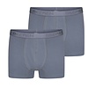 Beeren 2-pack Heren boxershort Rolf Grijs