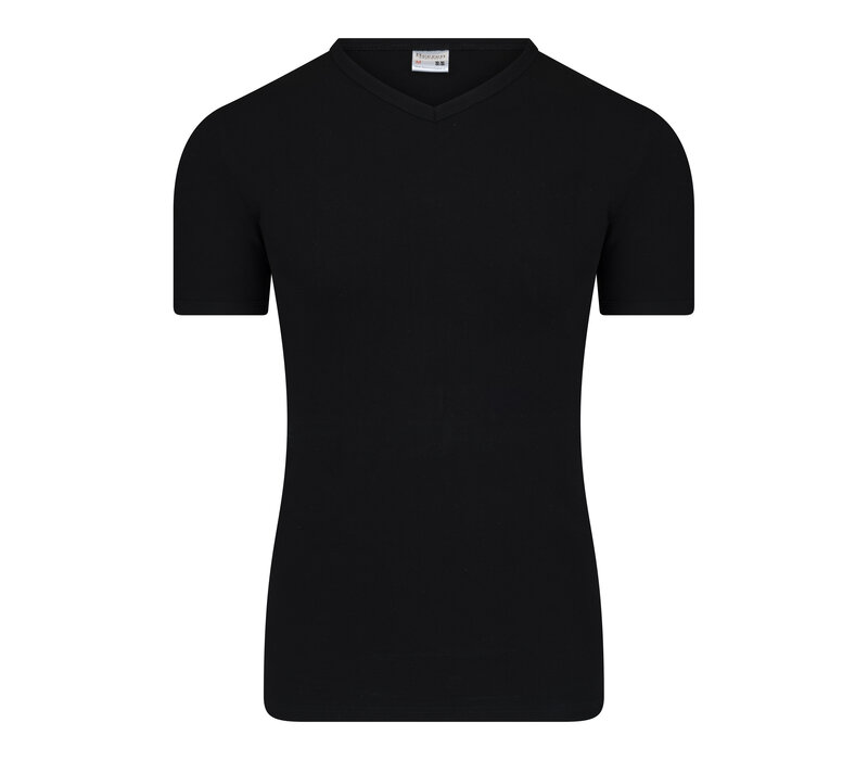 Beeren Heren T-shirt met V-Hals  M3000 Zwart Bundel van 10