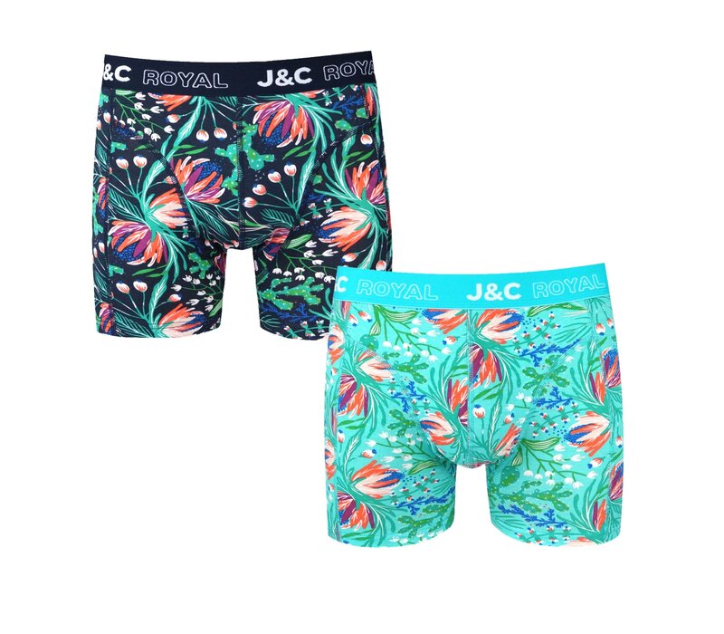 2-Pack Heren boxershorts gemaakt van elastisch katoen (95% Katoen en 5% Élastaan)