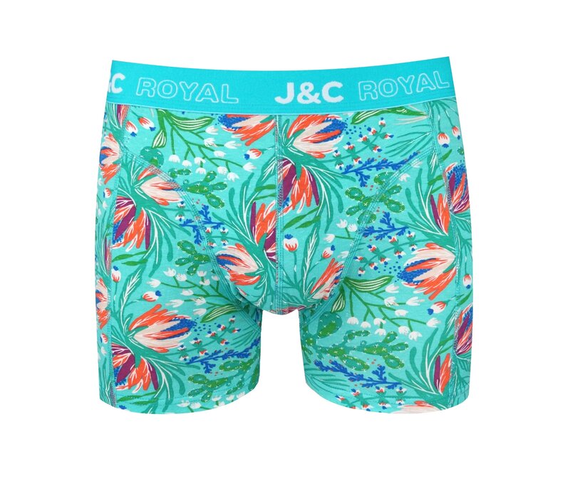 2-Pack Heren boxershorts gemaakt van elastisch katoen (95% Katoen en 5% Élastaan)