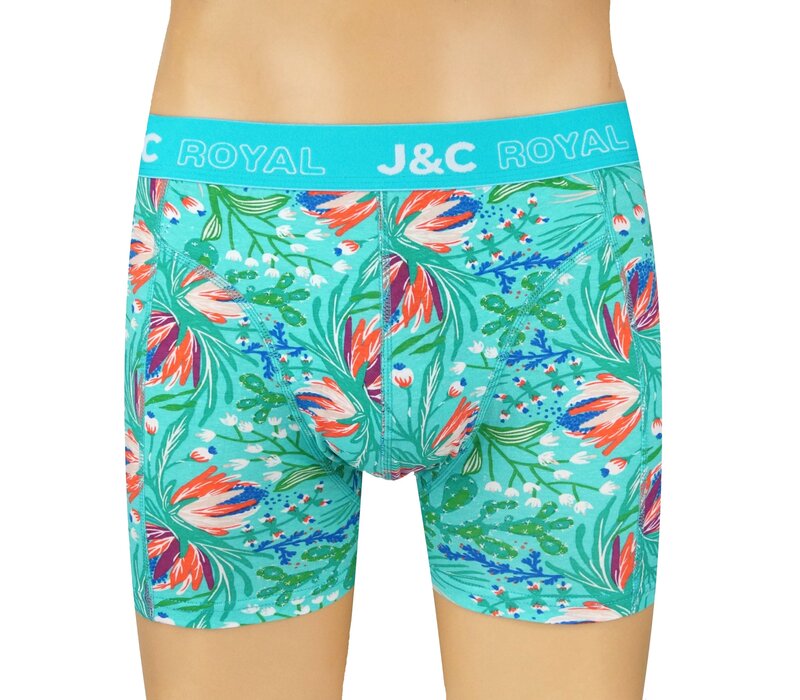 2-Pack Heren boxershorts gemaakt van elastisch katoen (95% Katoen en 5% Élastaan)