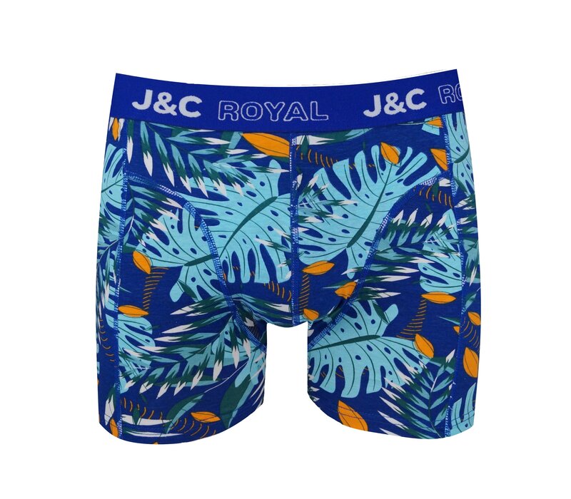 2-Pack Heren boxershorts gemaakt van elastisch katoen (95% Katoen en 5% Élastaan)