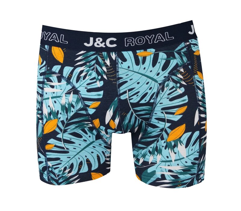 2-Pack Heren boxershorts gemaakt van elastisch katoen (95% Katoen en 5% Élastaan)