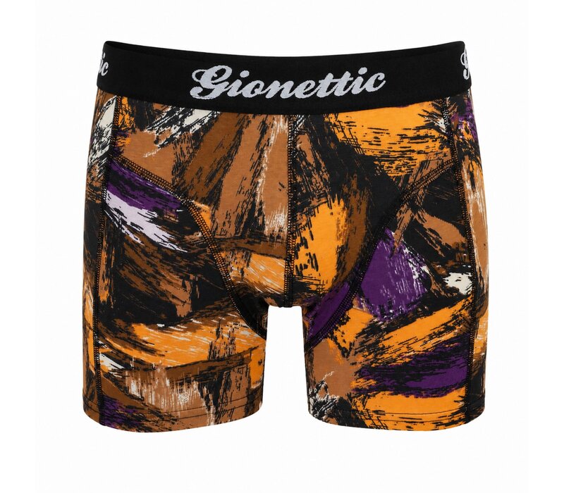 2-PACK GIONETTIC HEREN BOXERSHORTS PRINT PICASSO