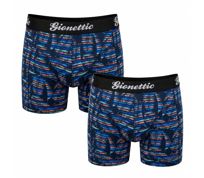 2-PACK GIONETTIC HEREN BOXERSHORTS PRINT PALM