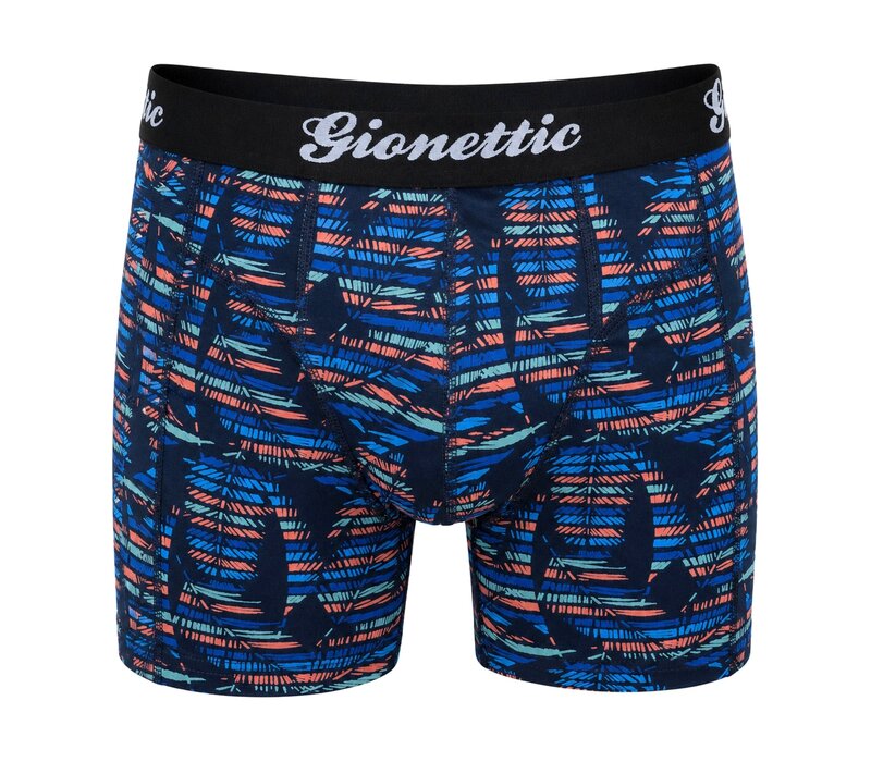 2-PACK GIONETTIC HEREN BOXERSHORTS PRINT PALM