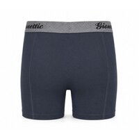9+1 GRATIS PACK GIONETTIC BAMBOE HEREN BOXERSHORTS ANTRACIET