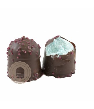Chocozoen Bosbessen