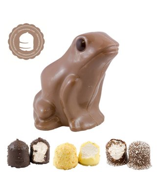 Chocolade Kikker met  6 Chocozoenen