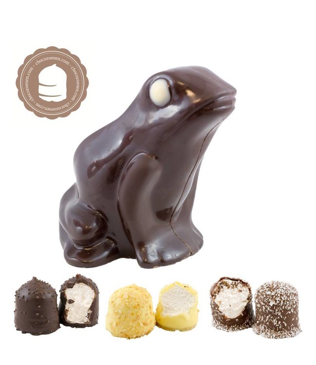 Chocolade Kikker met  2 Chocozoenen