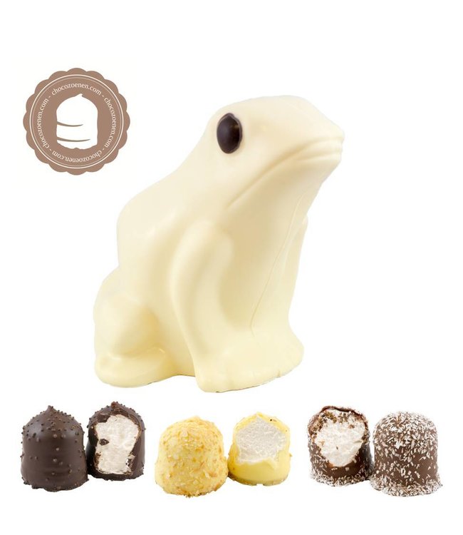 Chocolade Kikker met  2 Chocozoenen