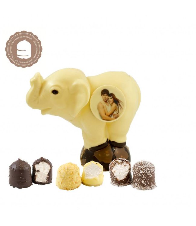 Chocolade Olifant met Foto en  2 Zoenen