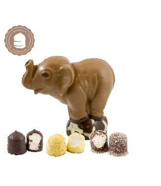 Chocolade Olifant met  6 Chocozoenen