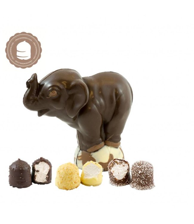 Chocolade Olifant met  2 Chocozoenen