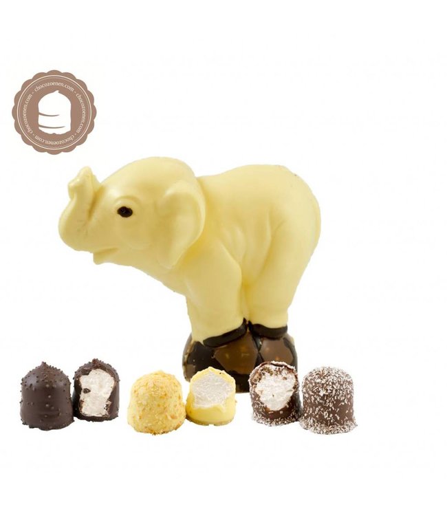 Chocolade Olifant met  2 Chocozoenen