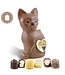 Chocolade Poes met Foto en  2 Zoenen