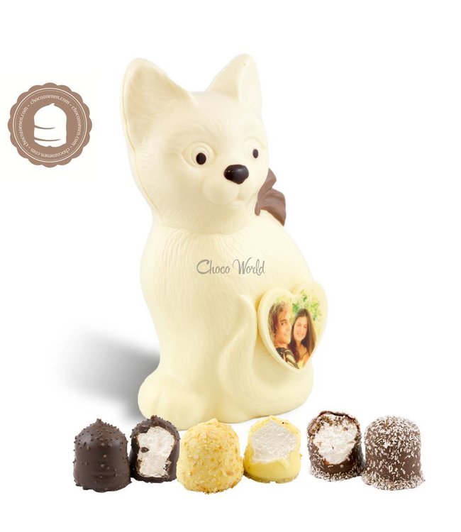 Chocolade Poes met Foto en  2 Zoenen