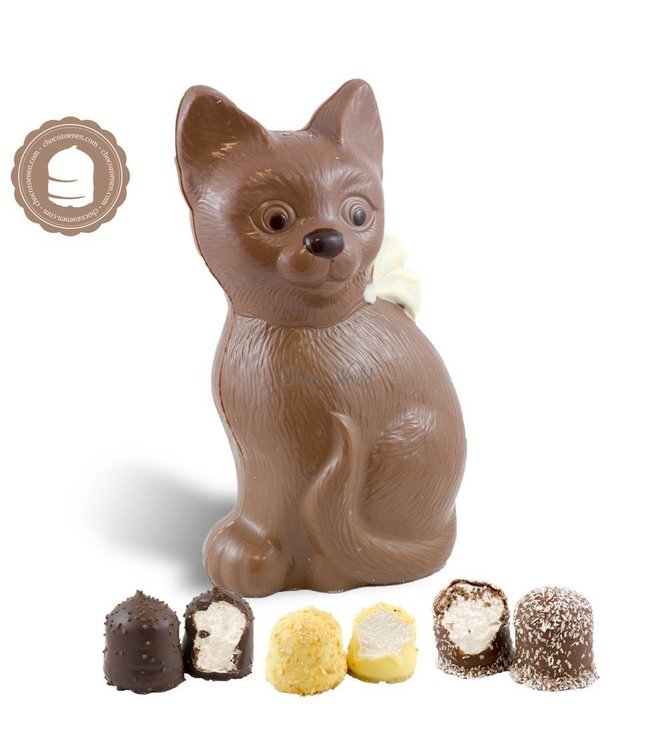 Chocolade Poes met  6 Chocozoenen