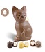 Chocolade Poes met  2  Chocozoenen