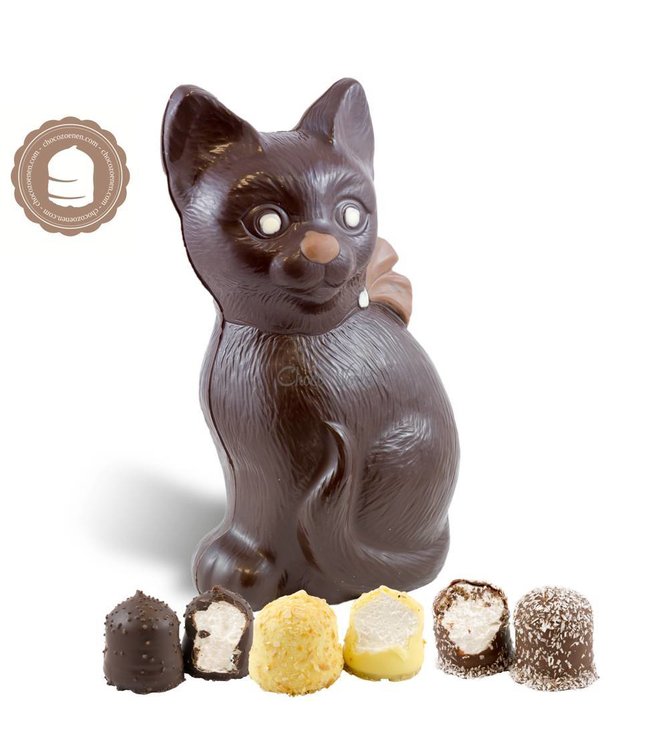 Chocolade Poes met 2 Chocozoenen