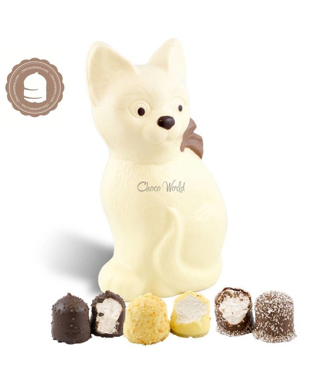 Chocolade Poes met 2 Chocozoenen