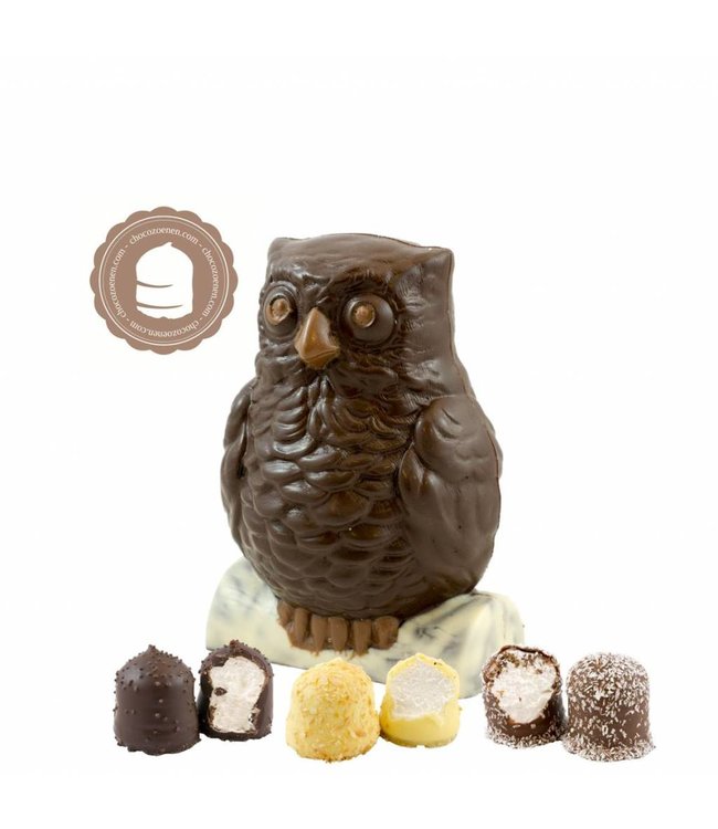 Chocolade Uil met  2 Chocozoenen